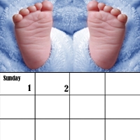 Creation of baby calender: Step 3